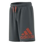 Shorts-adidas-Essentials-3S-Infantil-Cinza-3