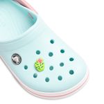 Jibbitz-Crocs-Flower-Cactus-Multicolor