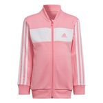Agasalho-adidas-3-S-Shiny-Infantil