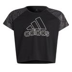 Camiseta-adidas-Designed-2-Move-Seasonal-Infantil