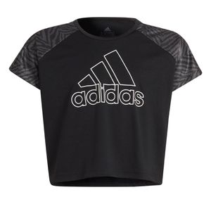 Camiseta adidas Designed 2 Move Seasonal Infantil