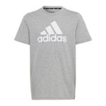 Camiseta-adidas-Essentials-Big-Logo-Infantil