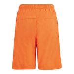 Shorts-adidas-Adventure-Infantil