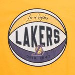 Camiseta-Nba-Los-Angeles-Lakers-Infantil