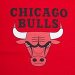 Camiseta-Nba-Chicago-Bulls-Infantil