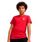 Camiseta-Puma-X-One-Piece-Graphic-Infantil