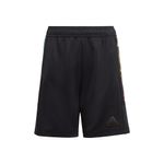 Shorts-adidas-J-Hot-Su-Infantil