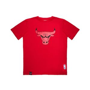 Camiseta Nba Chicago Bulls Infantil