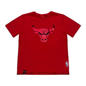 Camiseta Nba Chicago Bulls Infantil