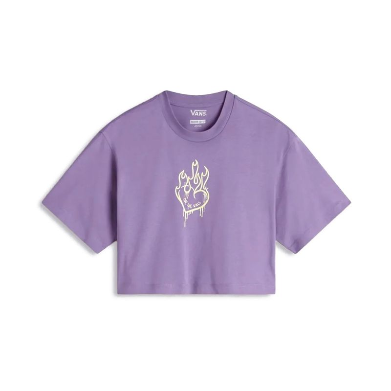 Camiseta-Vans-Fire-In-Your-Heart-SS-Infantil