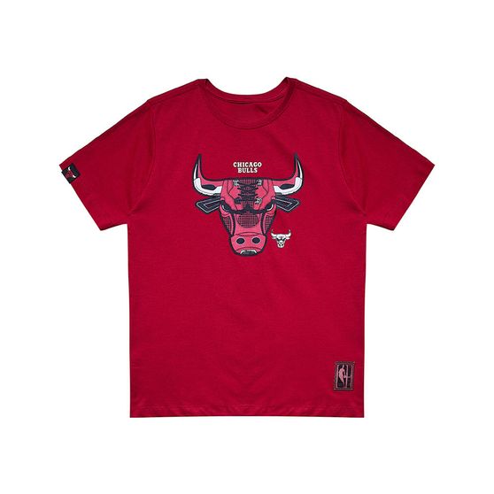 Camiseta Nba Chicago Bulls Infantil